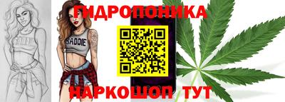 apvp Волжск