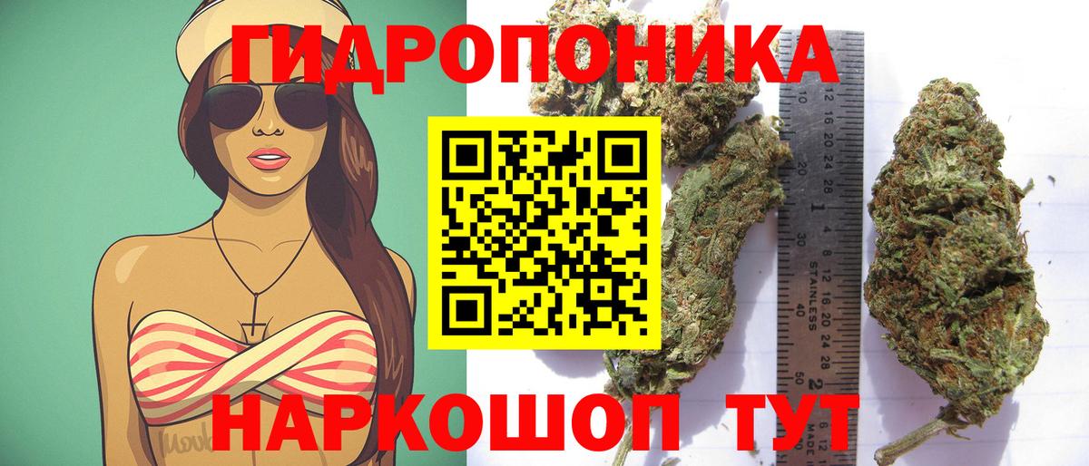 Бошки марихуана AK-47  Вход с VPN  Бошки марихуана план  Надым 
